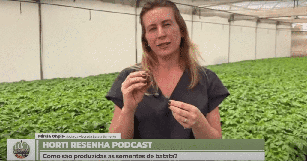 Mirela Ohpis em entrevista sobre batata semente.