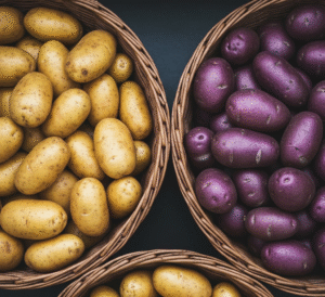 A diversificação da Batata Brasileira em imagem.