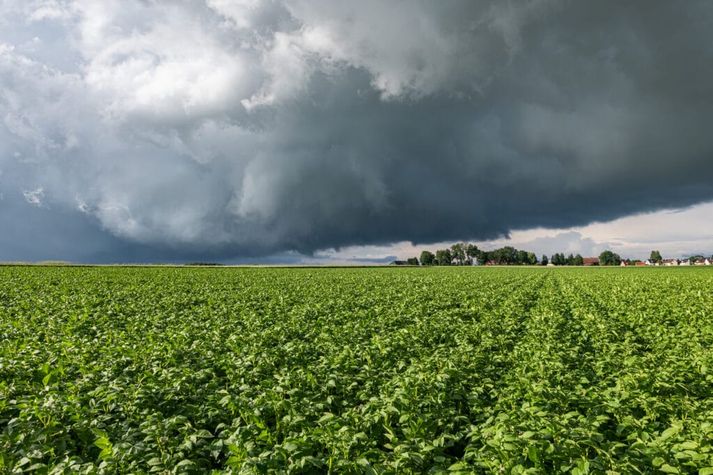 Campo com nuvens de chuva, representando a previsão para a safra 2026.