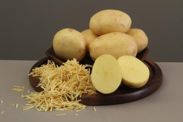 Imagem retratando a BRS F21 da Embrapa.