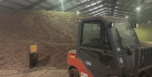 Representação de como seria o galpão cheio de batatas em Berlim.