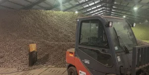 Representação de como seria o galpão cheio de batatas em Berlim.