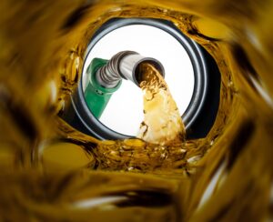 Capa de A Voz da Batata.