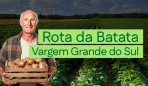 Banner da Rota da Batata