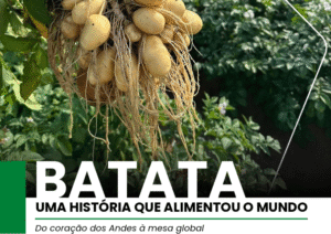 Capa do ebook A História da Batata.