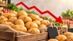 Capa do Giro de Notícias sobre as cotações da batata.